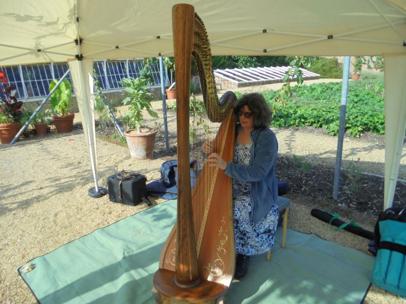 The Walled Garden Drinks Party