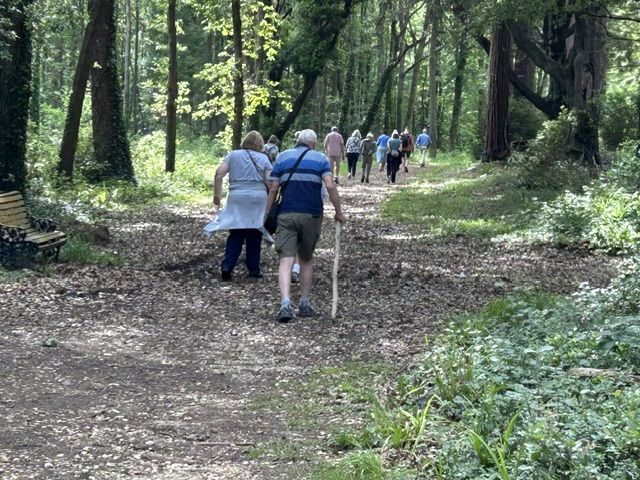 The walk through the woods to the beach