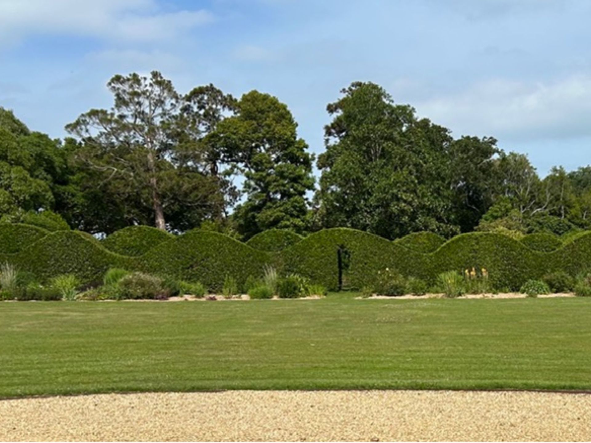 The wavey hedge cut to represent the shoreline